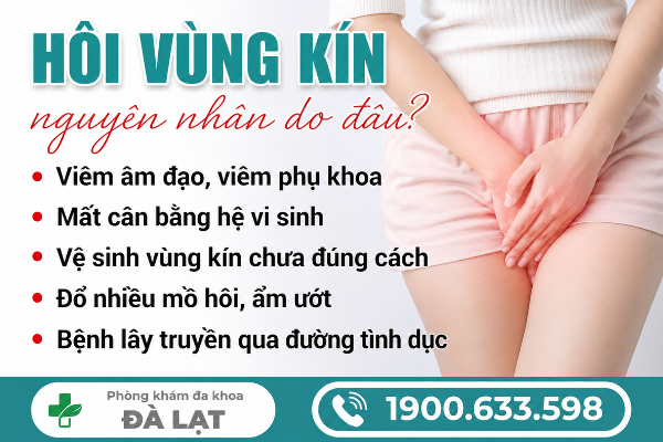Hình ảnh minh họa